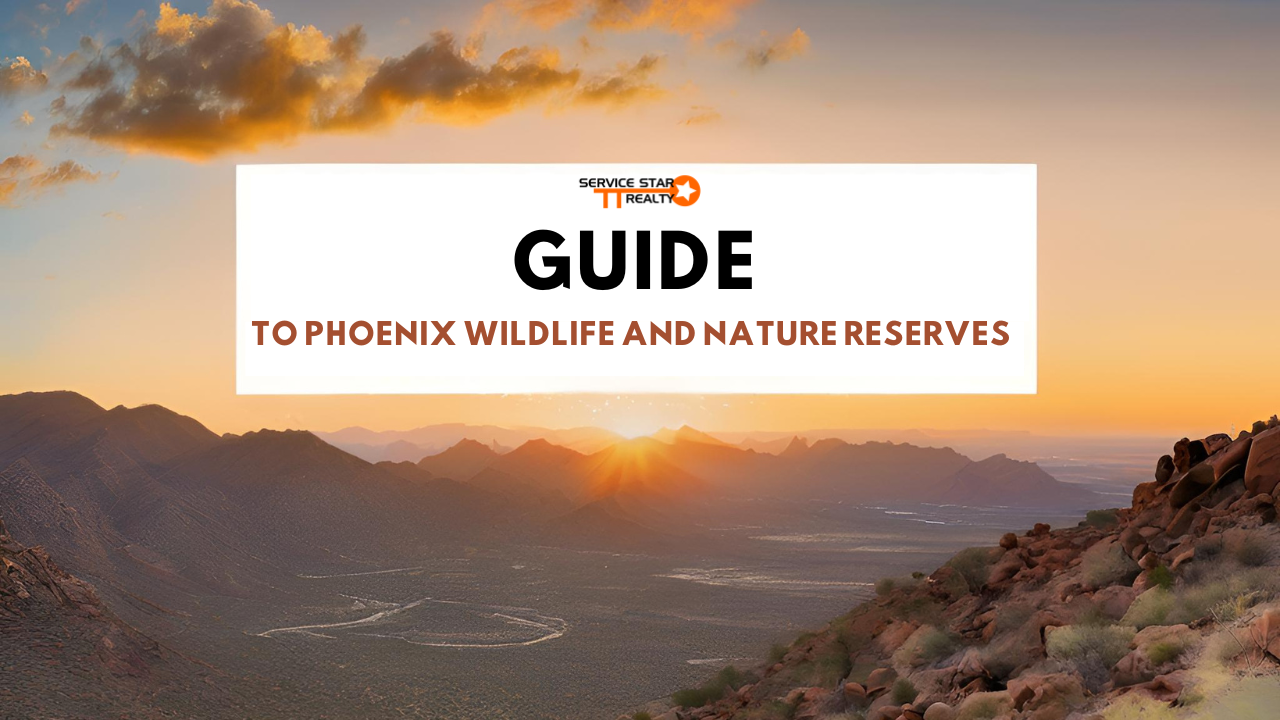 Guide to Phoenix Wildlife and Nature Reserves